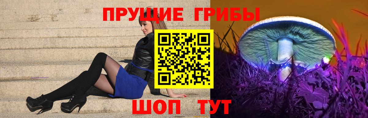 Якутск  Галлюциногенные грибы мицелий  Вход с VPN  Галлюциногенные грибы MAGIC MUSHROOMS 